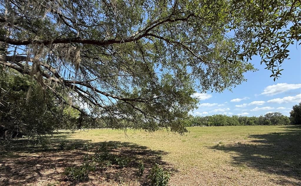 合同活跃: $464,000 (28.79 acres)
