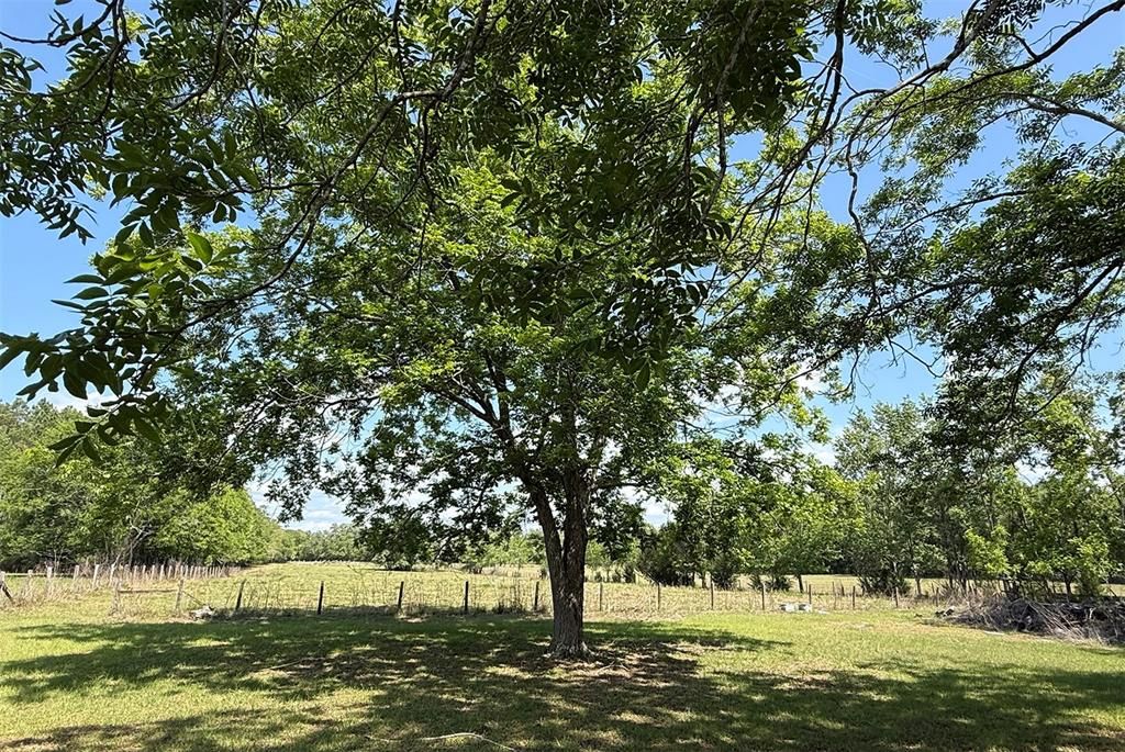 合同活跃: $464,000 (28.79 acres)