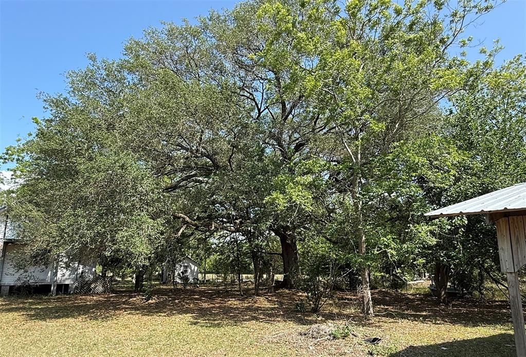 合同活跃: $464,000 (28.79 acres)