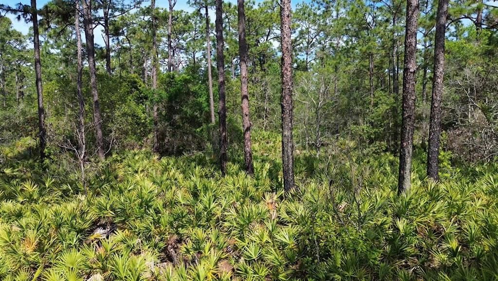 For Sale: $180,000 (2.77 acres)