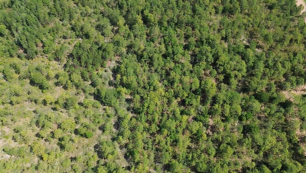 For Sale: $180,000 (2.77 acres)