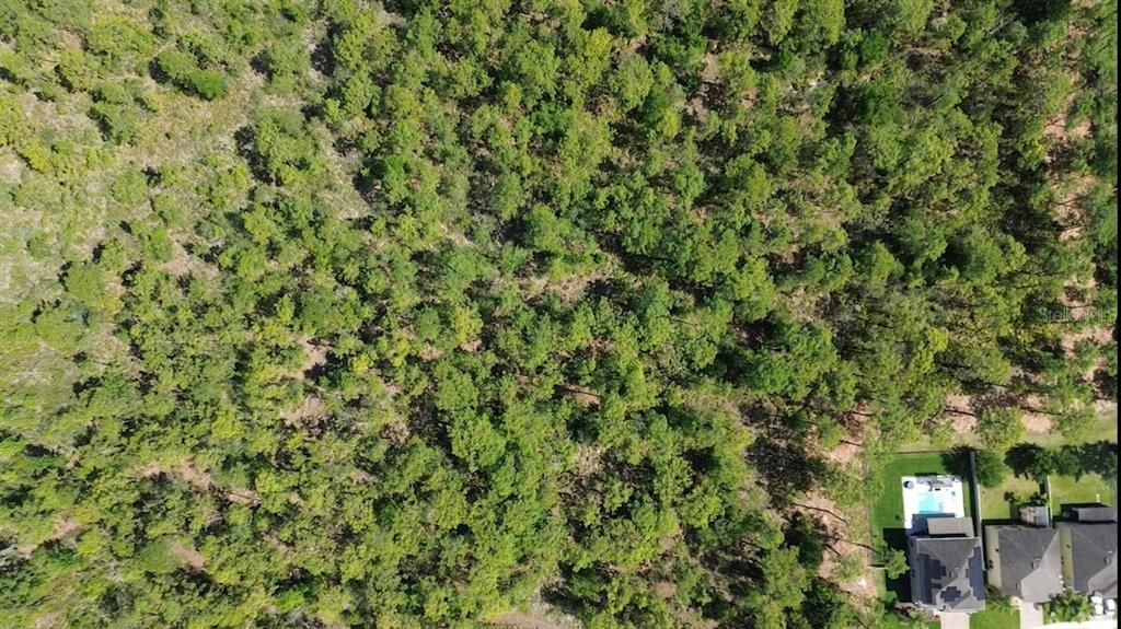 For Sale: $180,000 (2.77 acres)