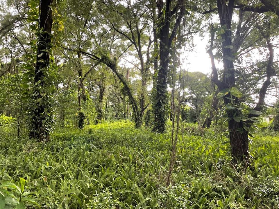 For Sale: $115,000 (1.20 acres)