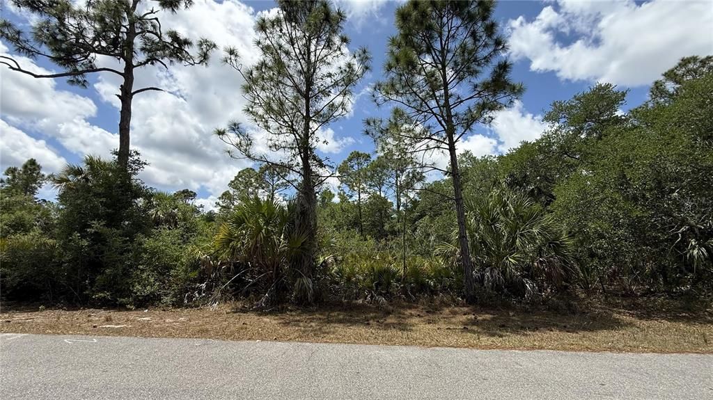 For Sale: $25,000 (0.23 acres)