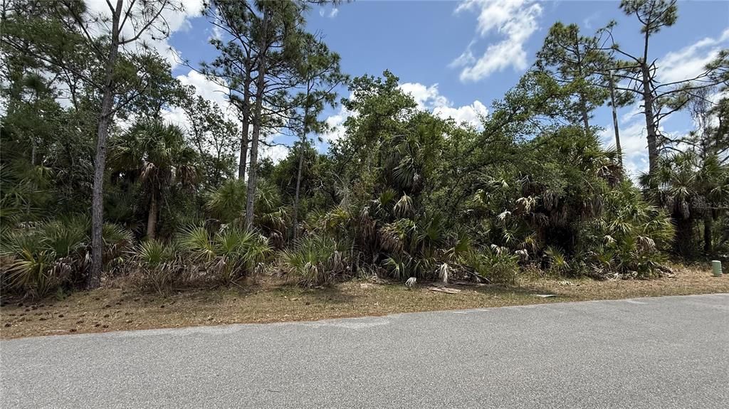 For Sale: $25,000 (0.23 acres)