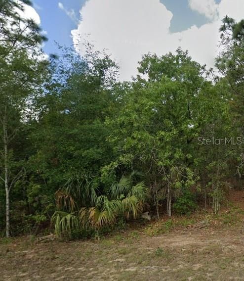 На продажу: $46,000 (1.00 acres)