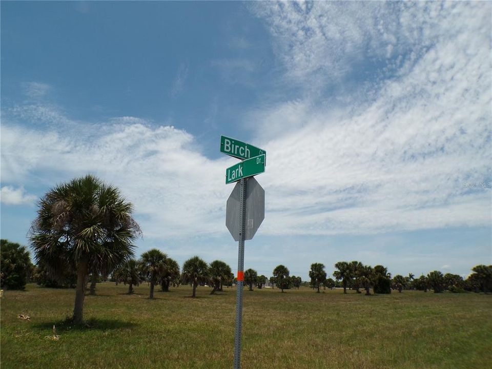 For Sale: $15,500 (0.17 acres)