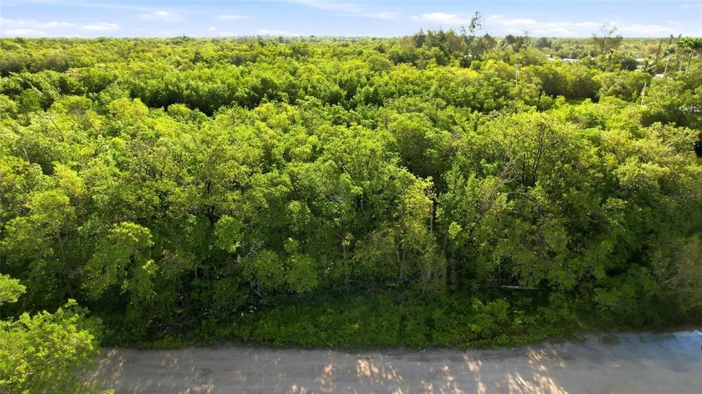 For Sale: $50,000 (0.14 acres)
