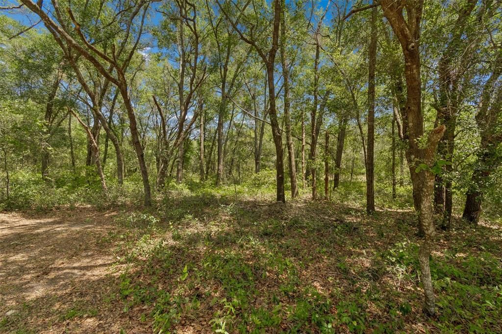 En Venta: $265,000 (3 camas, 2 baños, 1644 Pies cuadrados)