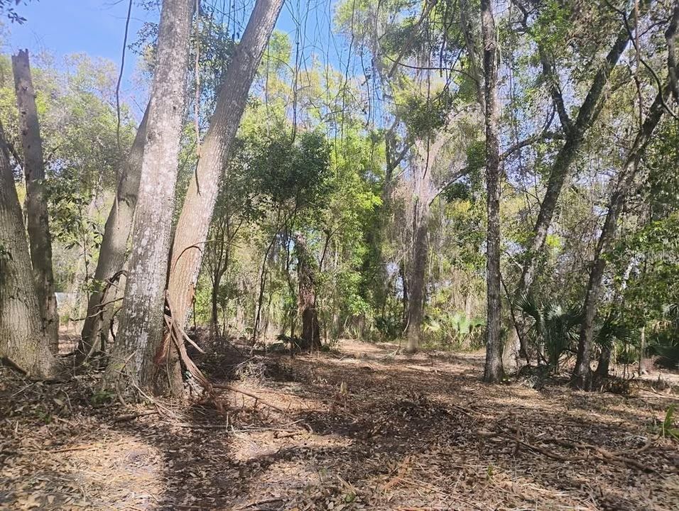 For Sale: $219,900 (3.09 acres)