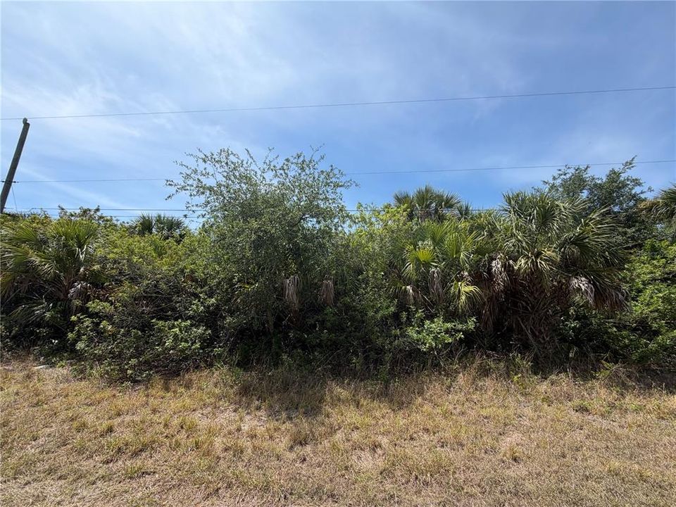 For Sale: $165,000 (0.23 acres)