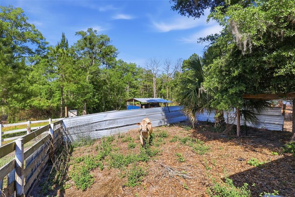 For Sale: $1,099,900 (4 beds, 3 baths, 2164 Square Feet)