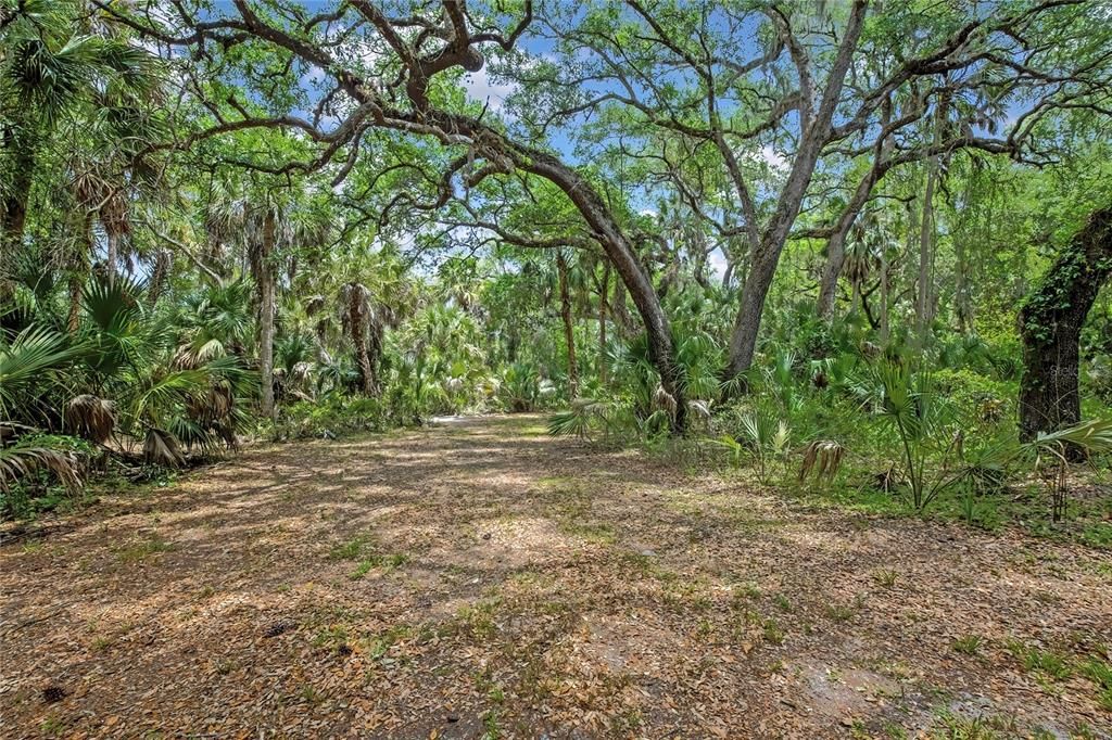 Active With Contract: $159,900 (5.00 acres)