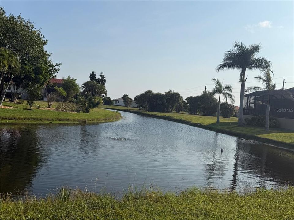 For Sale: $50,000 (0.23 acres)