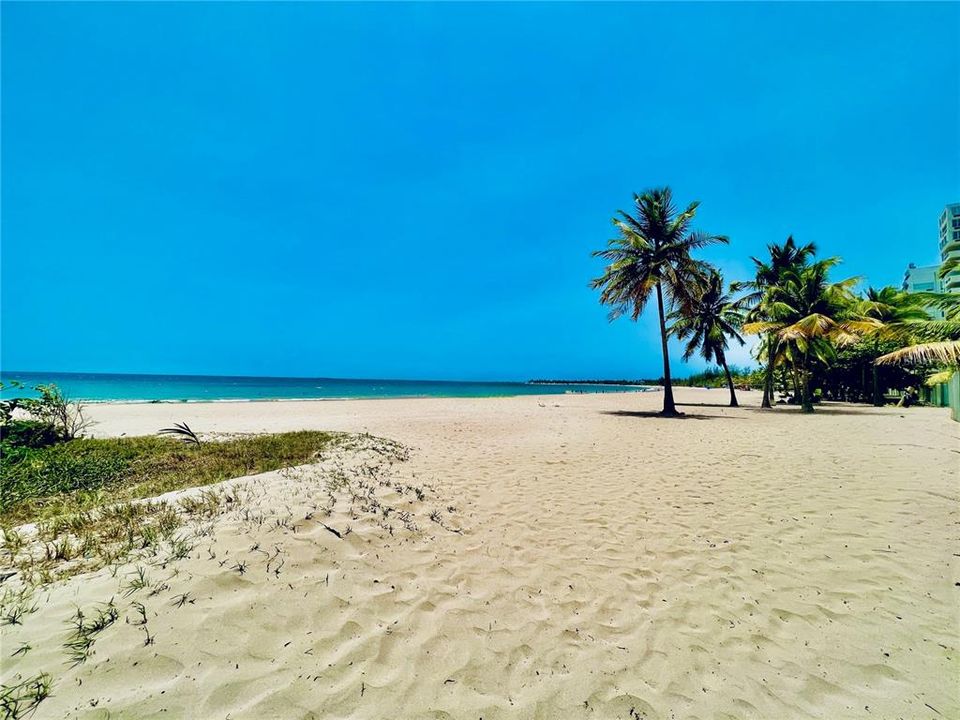 For Sale: $590,000 (2 beds, 1 baths, 980 Square Feet)
