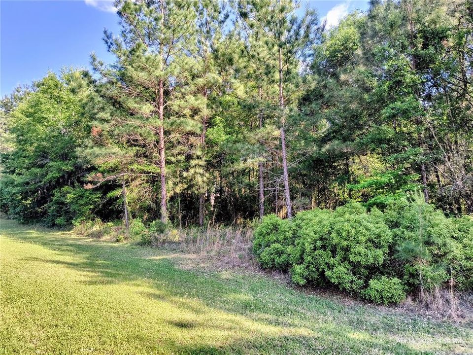 待售: $155,000 (2.97 acres)