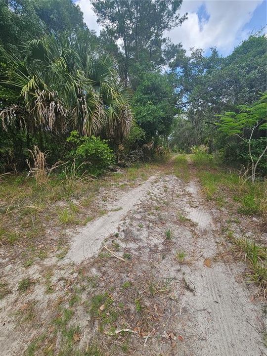 For Sale: $136,000 (1.09 acres)