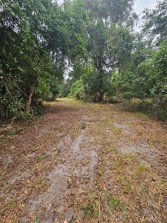 For Sale: $136,000 (1.09 acres)