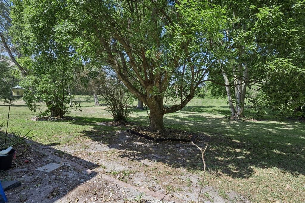 For Sale: $179,500 (2 beds, 2 baths, 972 Square Feet)