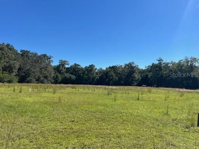 For Sale: $665,000 (19.00 acres)