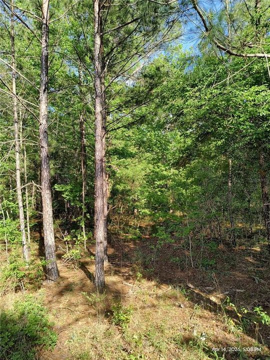 For Sale: $125,000 (2.09 acres)