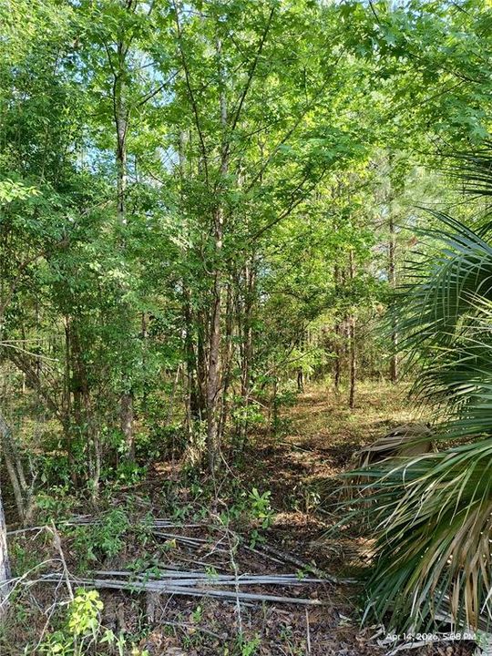 For Sale: $125,000 (2.09 acres)