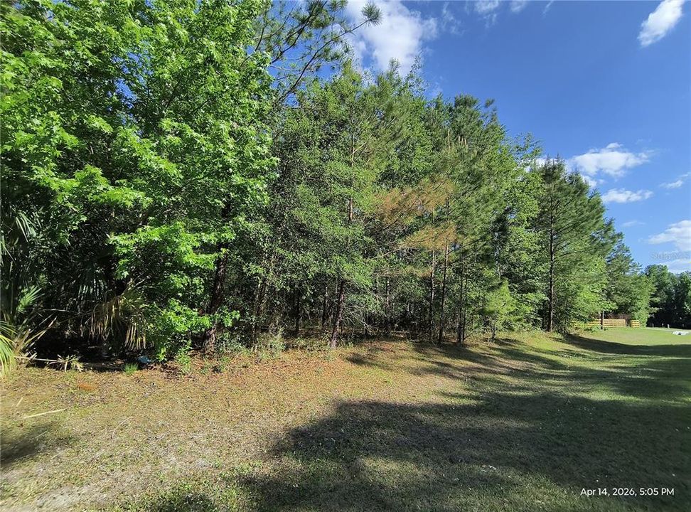 For Sale: $125,000 (2.09 acres)