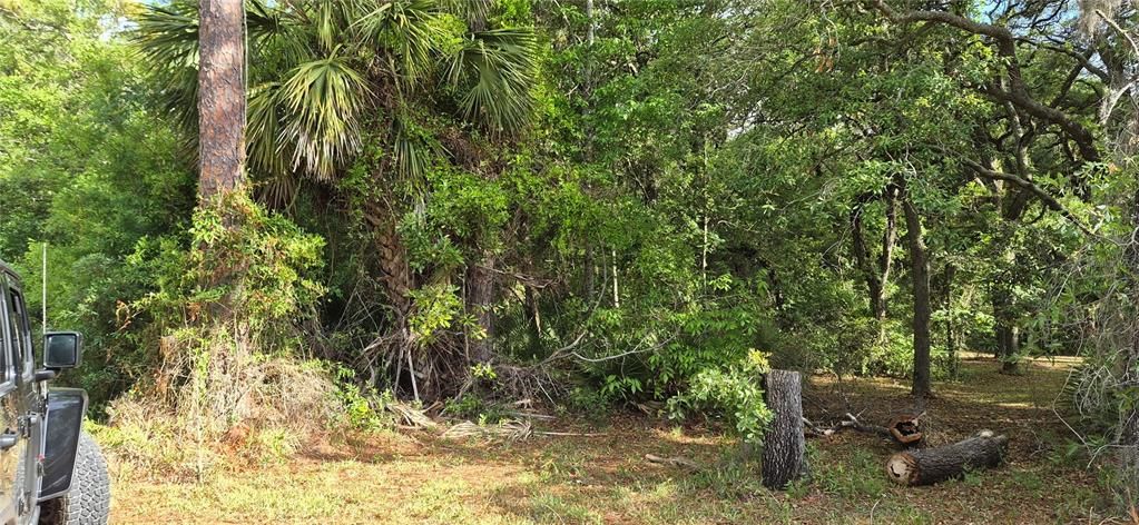 Recently Sold: $55,220 (1.68 acres)