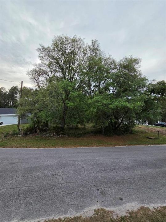 For Sale: $45,000 (0.23 acres)