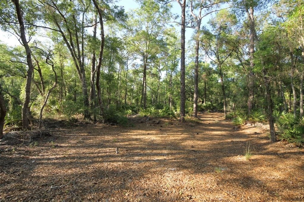 待售: $31,500 (0.57 acres)