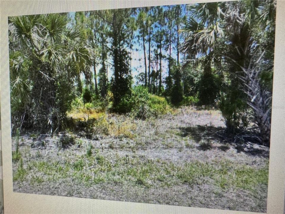 Active With Contract: $15,000 (0.24 acres)