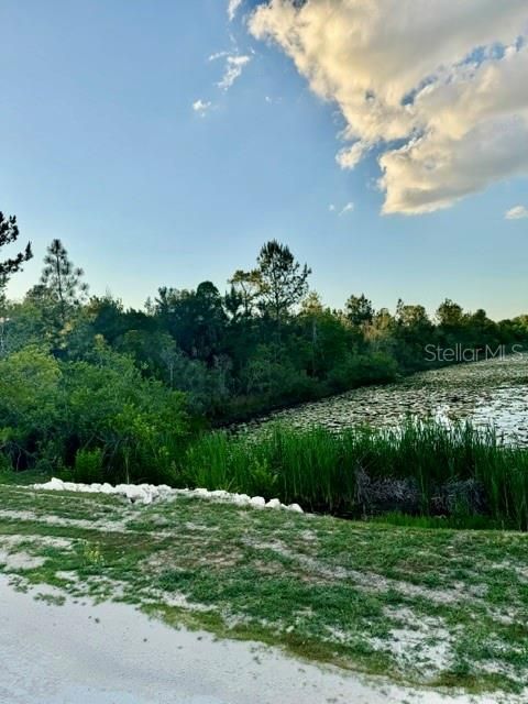 На продажу: $54,900 (1.15 acres)