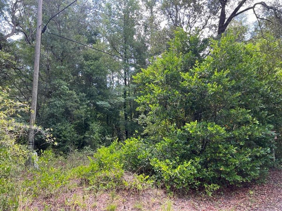 На продажу: $22,000 (0.34 acres)