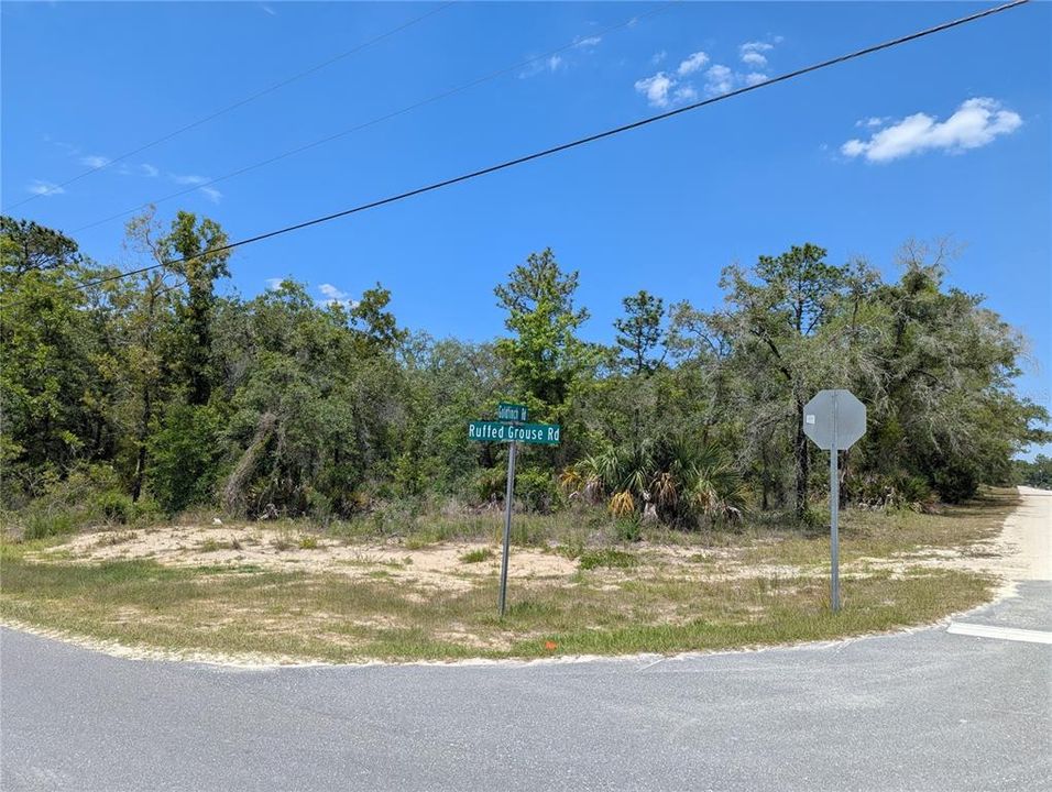 合同活跃: $49,900 (0.50 acres)