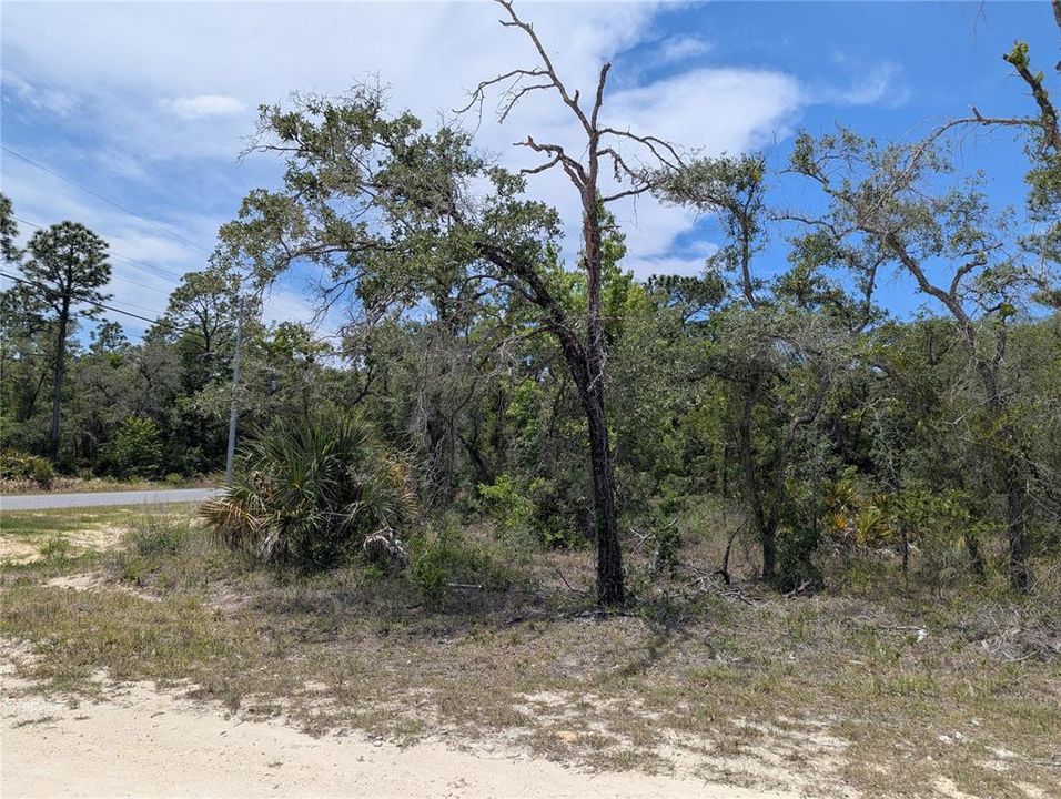 合同活跃: $49,900 (0.50 acres)