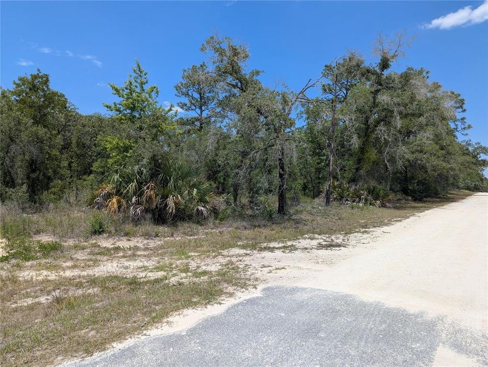 合同活跃: $49,900 (0.50 acres)