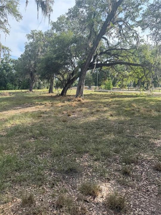 For Sale: $389,000 (10.10 acres)