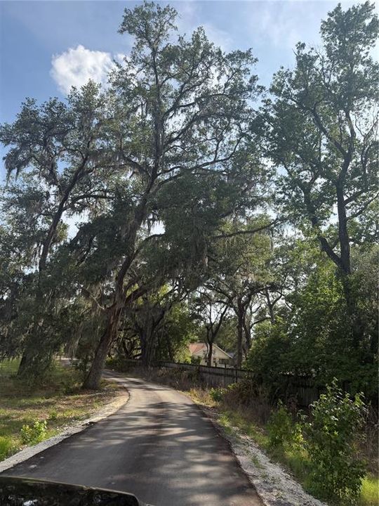 For Sale: $389,000 (10.10 acres)