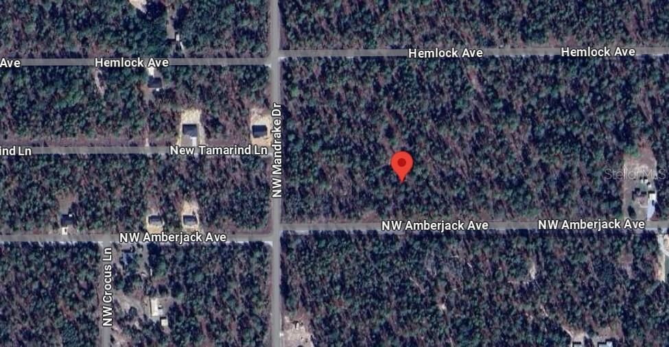 На продажу: $29,900 (1.00 acres)