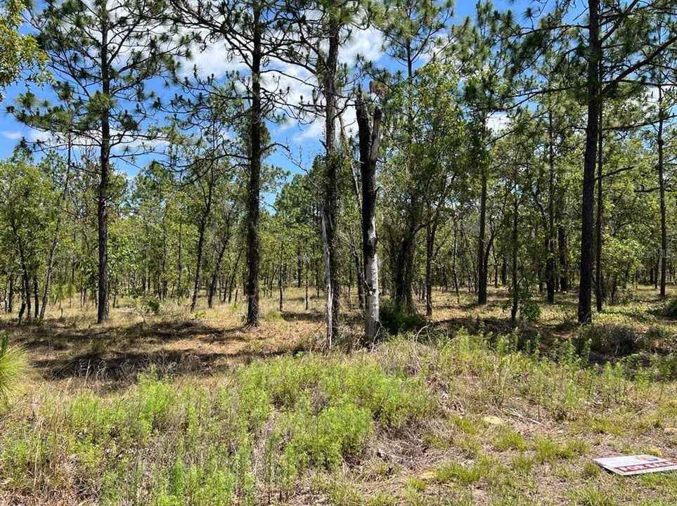 На продажу: $29,900 (1.00 acres)