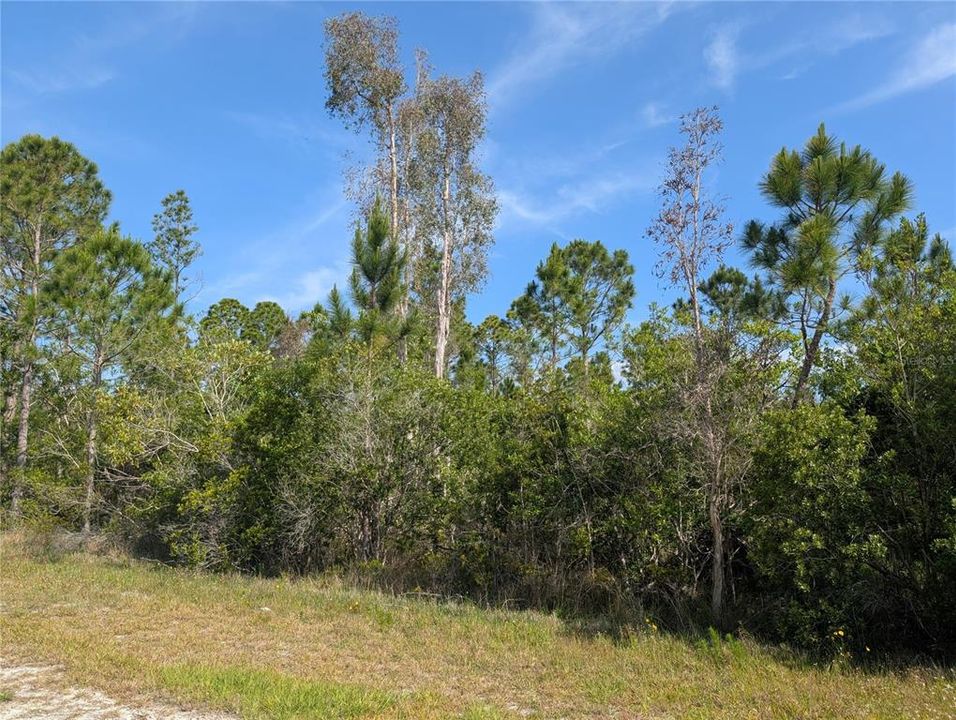 На продажу: $34,500 (1.00 acres)