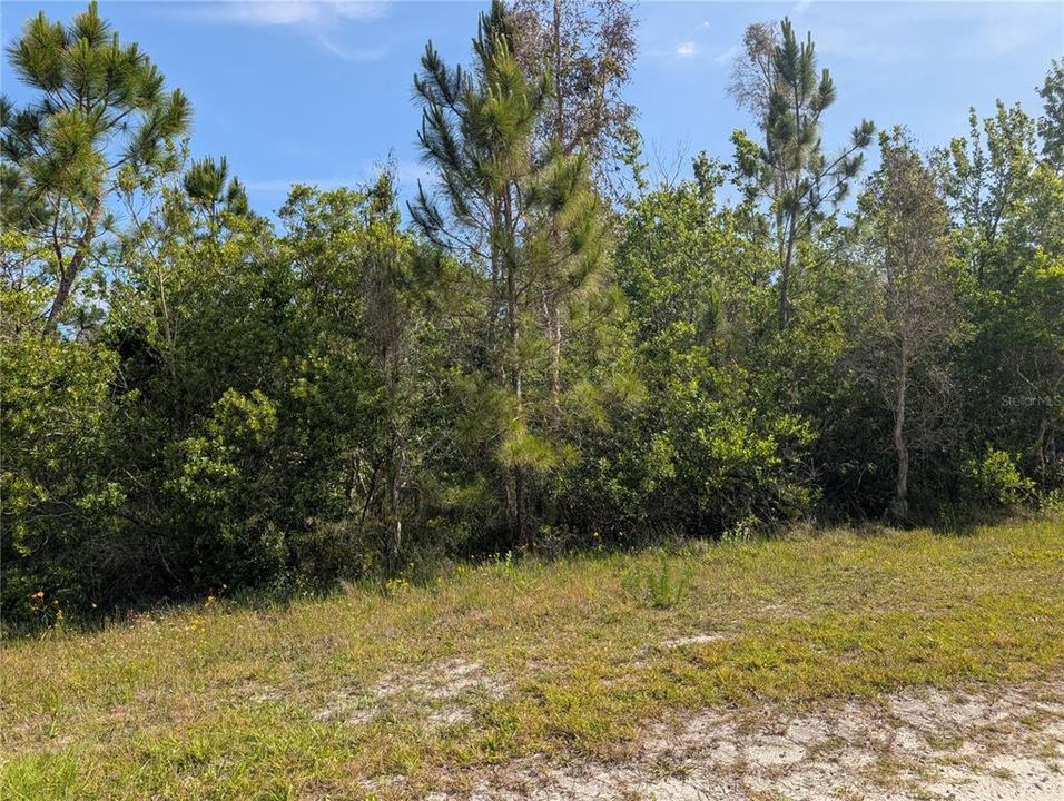 На продажу: $34,500 (1.00 acres)