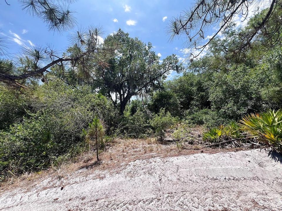 待售: $11,500 (0.29 acres)