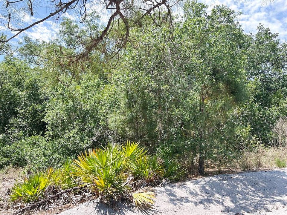 待售: $11,500 (0.29 acres)