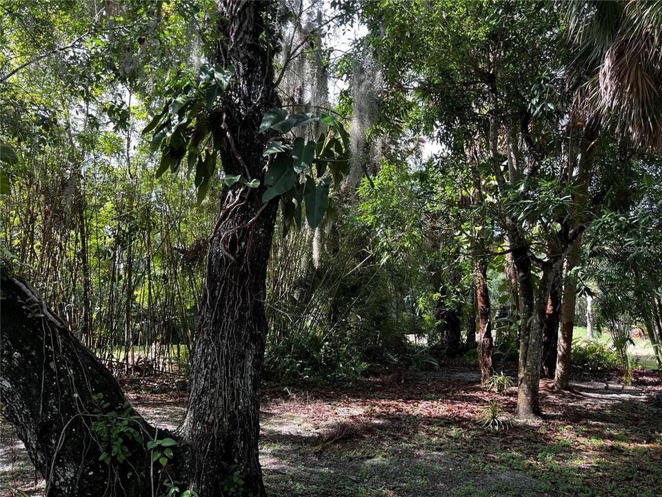 For Rent: $3,800 (3 beds, 2 baths, 1815 Square Feet)