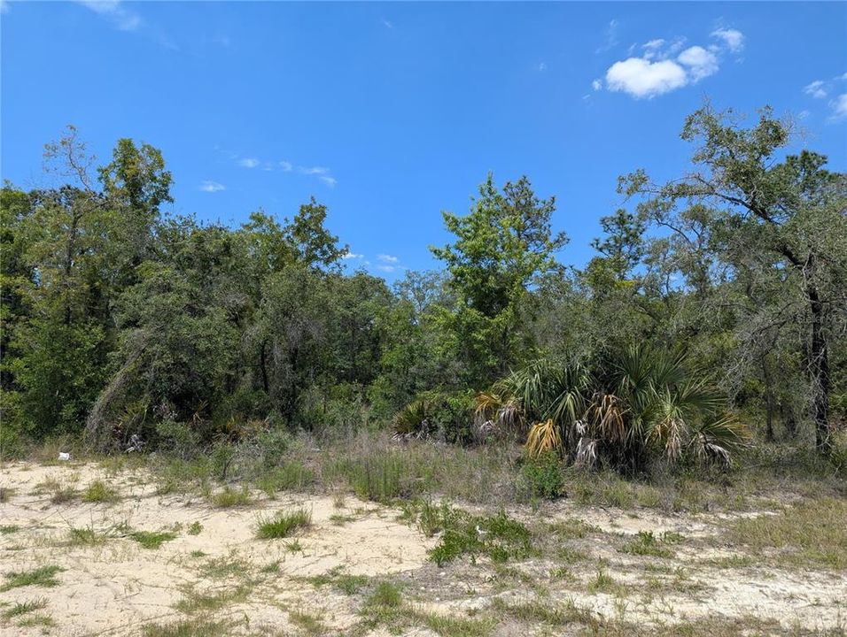 合同活跃: $49,900 (0.50 acres)