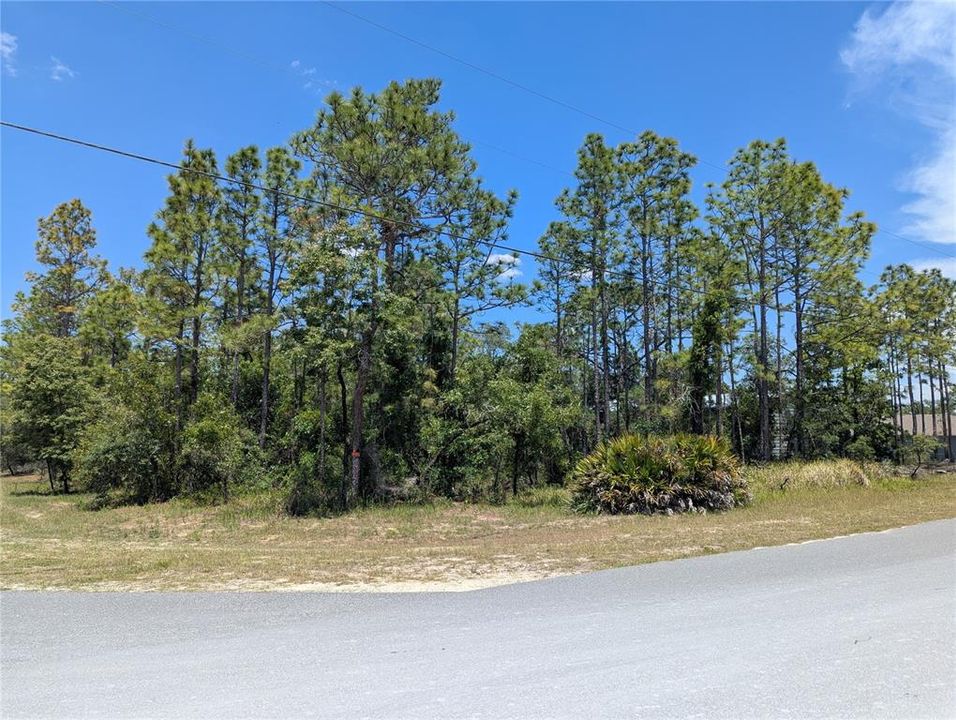 合同活跃: $49,900 (0.50 acres)