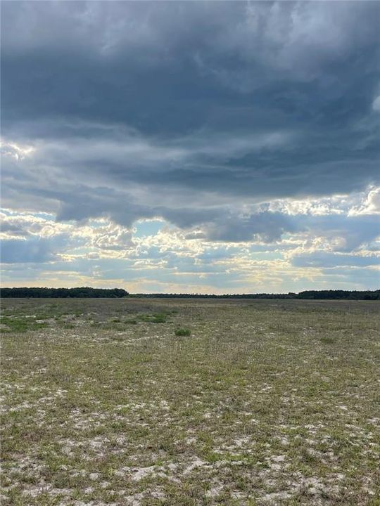 For Sale: $190,000 (10.19 acres)