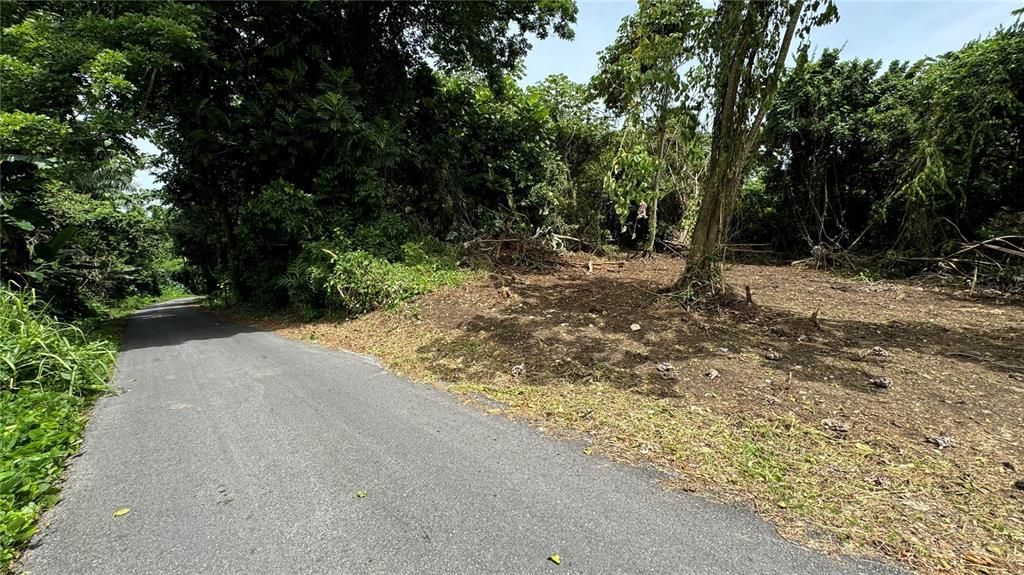 For Sale: $119,900 (4.65 acres)