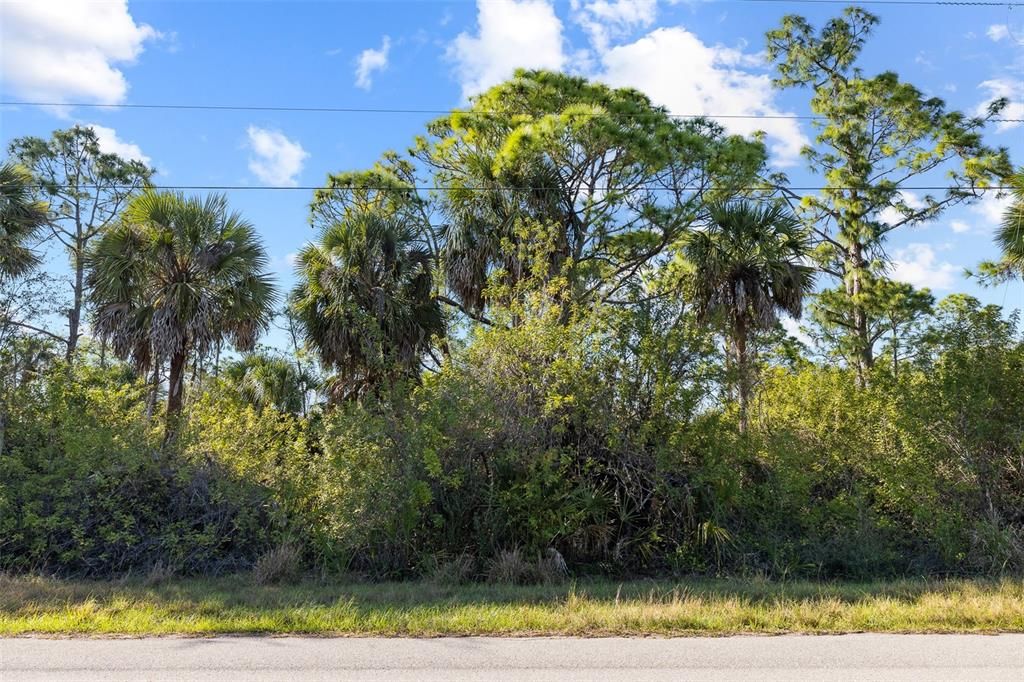 待售: $73,500 (0.23 acres)